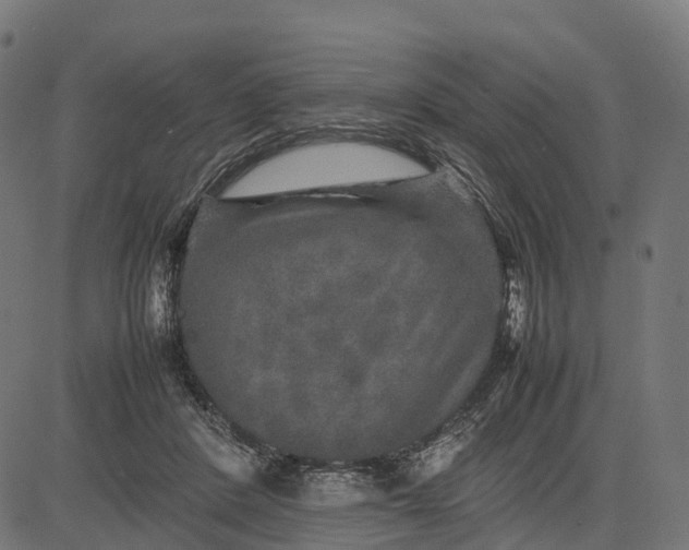 X0000082720408200702091818