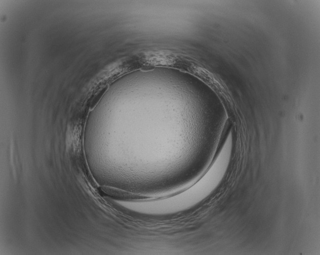 X0000082720409200702091818