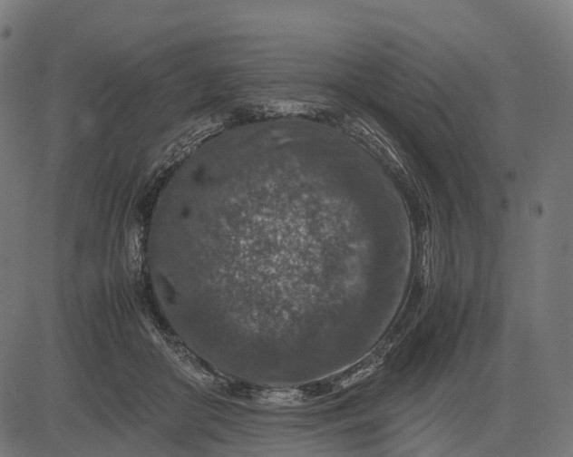 X0000082720410200702091817