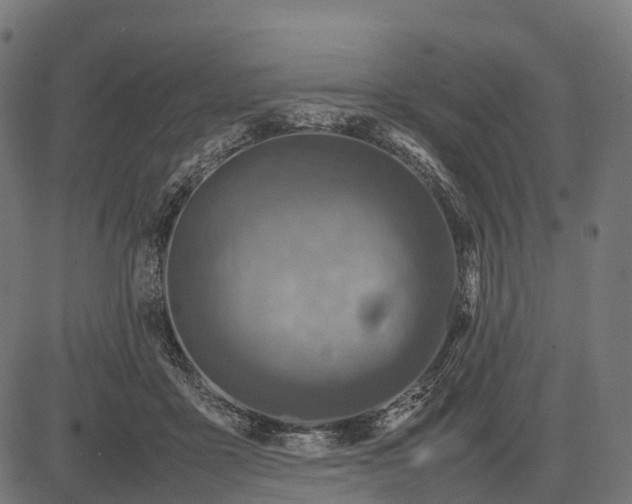 X0000082720411200702091817