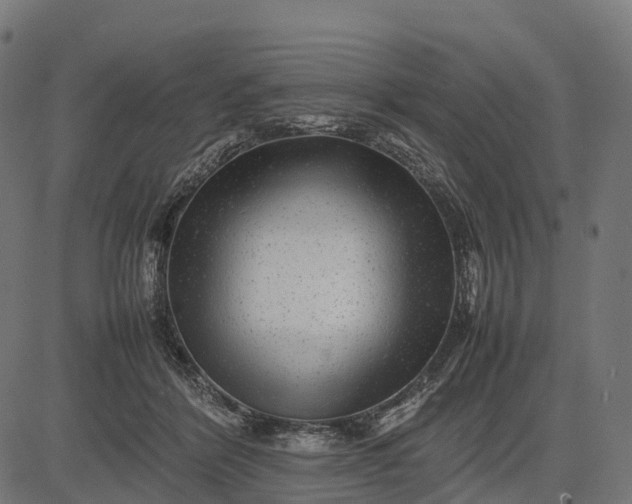 X0000082720412200702091817