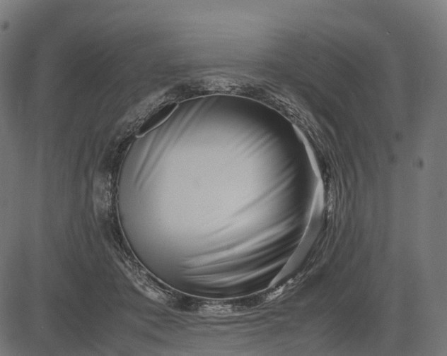 X0000082720413200702091817