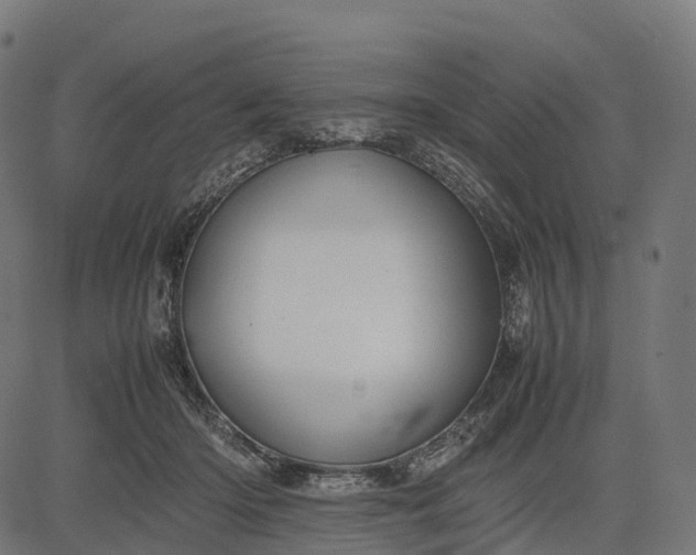 X0000082720414200702091817