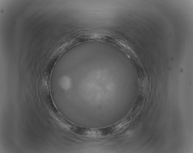 X0000082720415200702091817