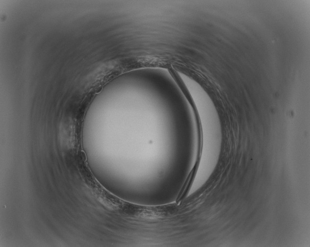 X0000082720416200702091817