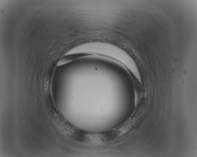 X0000082720417200702091817