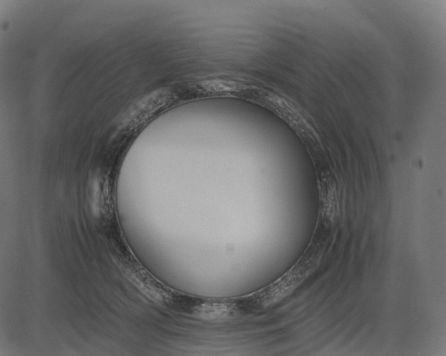 X0000082720418200702091817