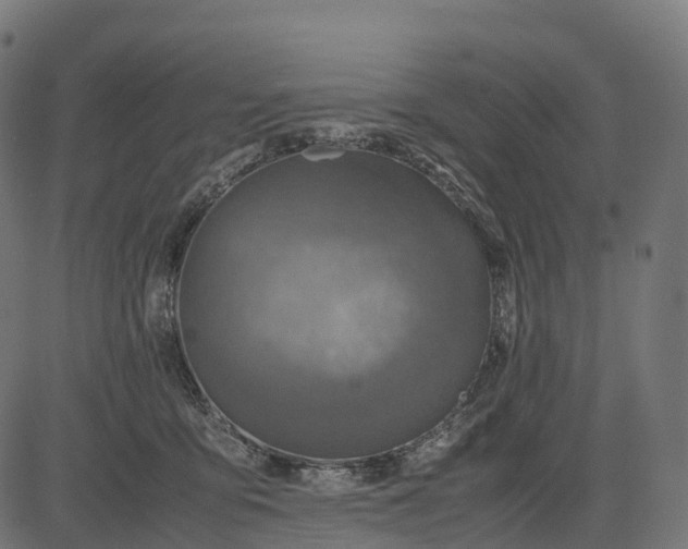 X0000082720419200702091817