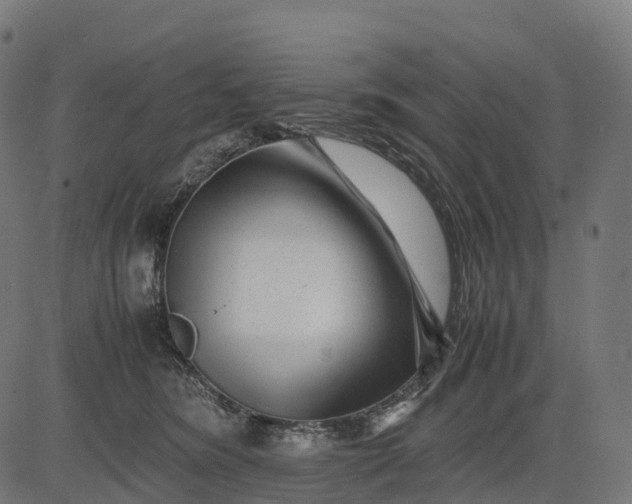 X0000082720420200702091817