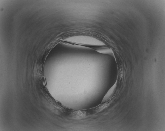 X0000082720421200702091817