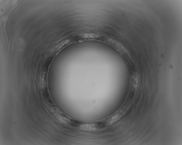 X0000082720422200702091817