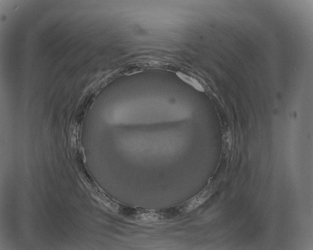 X0000082720423200702091817