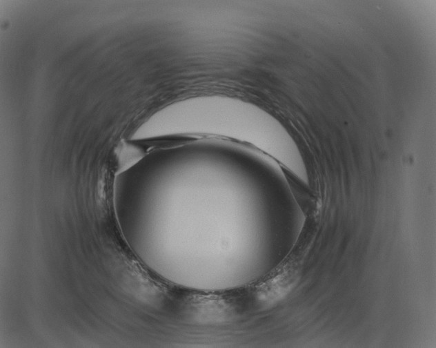 X0000082720424200702091817