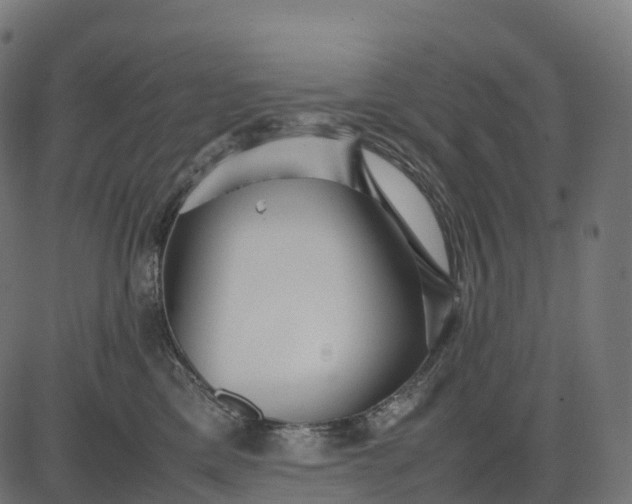 X0000082720425200702091817