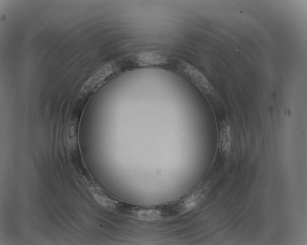 X0000082720426200702091817