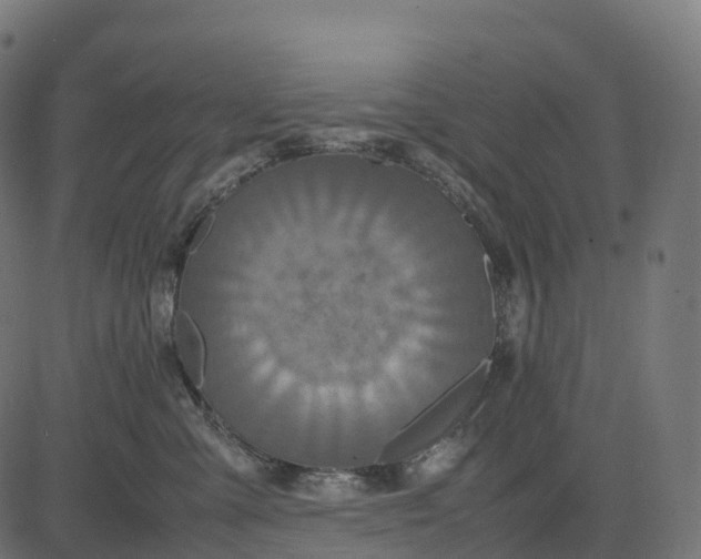 X0000082720427200702091817