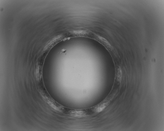 X0000082720428200702091817