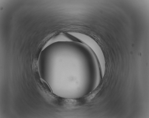 X0000082720429200702091817