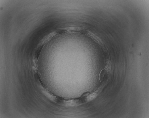 X0000082720430200702091817