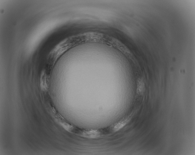 X0000082720431200702091817