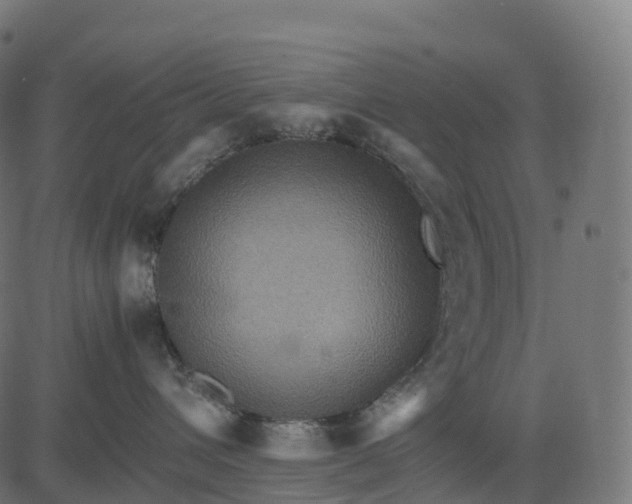 X0000082720432200702091817