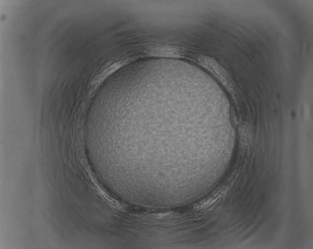 X0000082720433200702091816