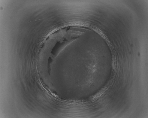 X0000082720434200702091816