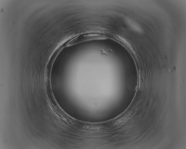 X0000082720435200702091816