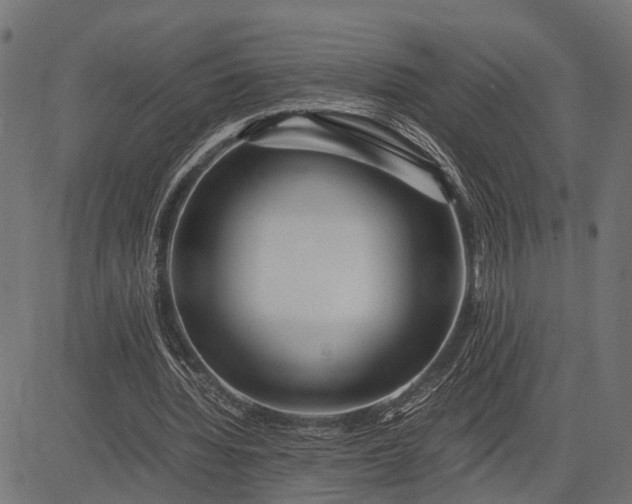 X0000082720436200702091816