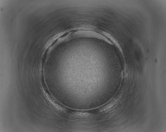 X0000082720437200702091816