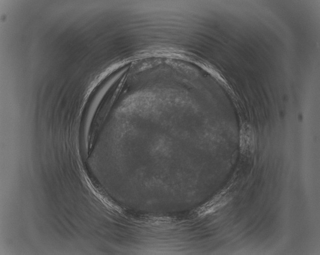 X0000082720438200702091816