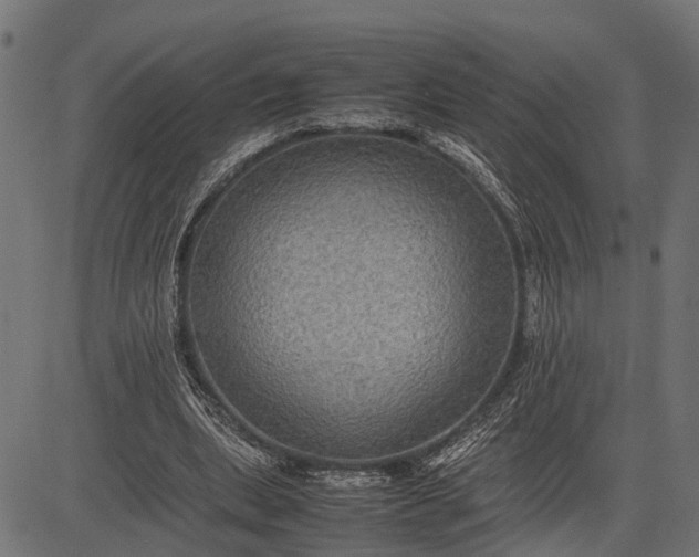 X0000082720439200702091816