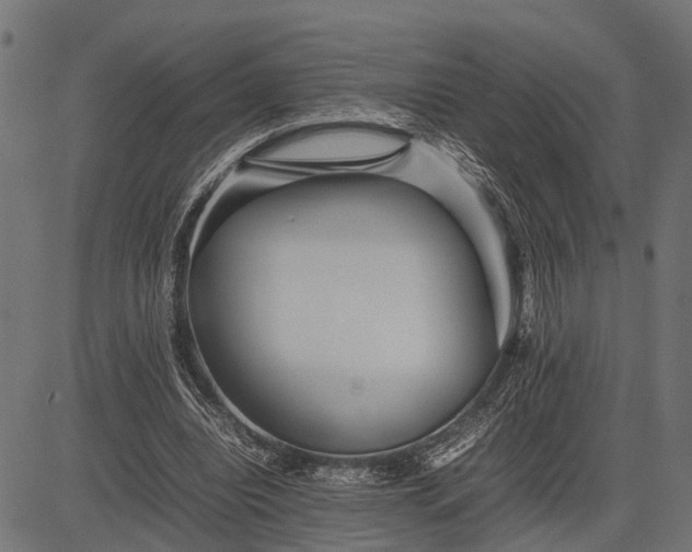 X0000082720440200702091816