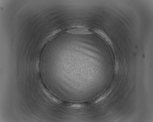 X0000082720441200702091816