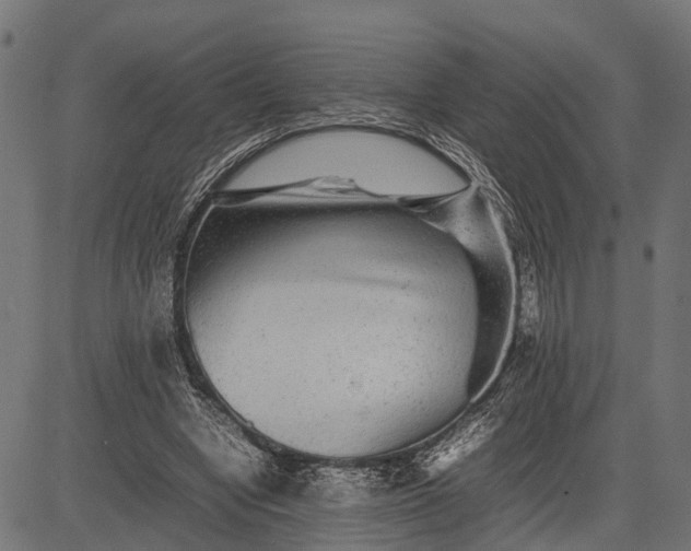 X0000082720442200702091816