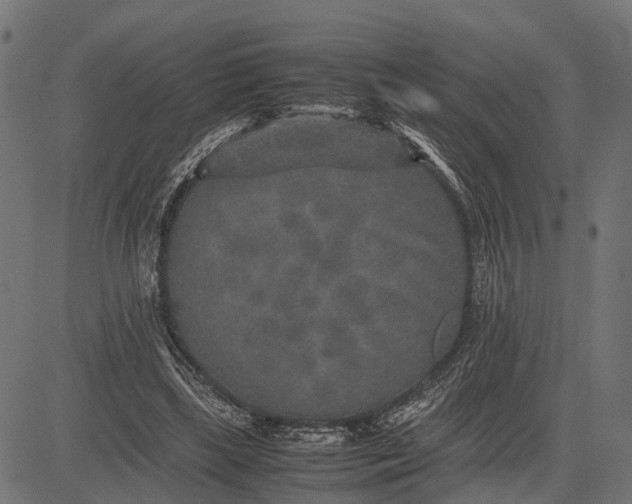 X0000082720443200702091817