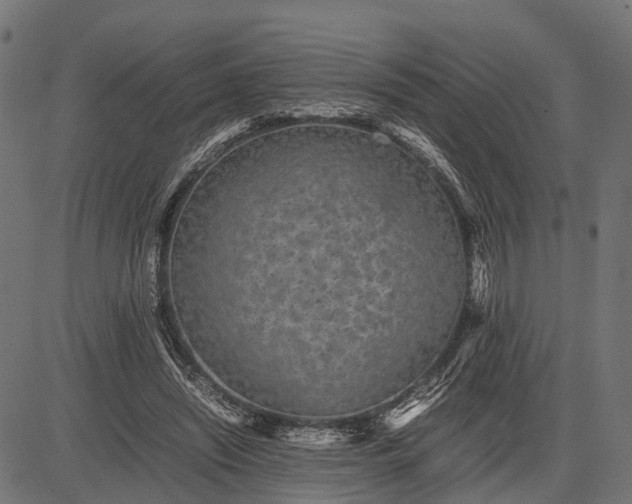 X0000082720444200702091817