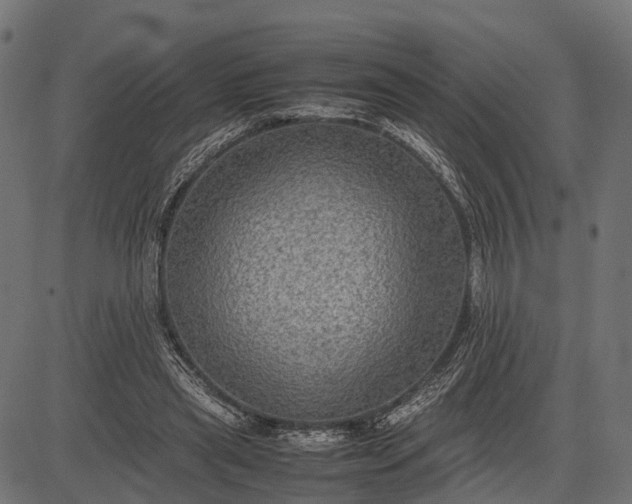 X0000082720445200702091817