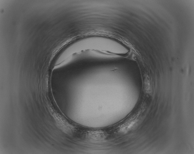 X0000082720446200702091817