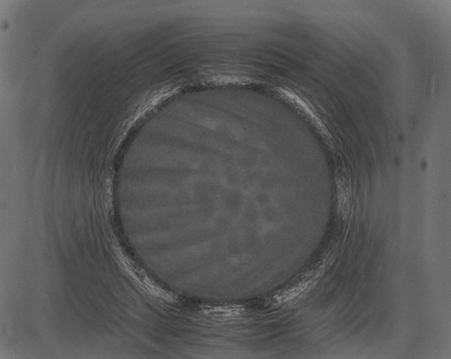 X0000082720447200702091817