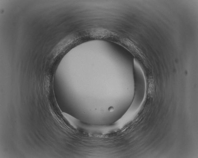 X0000082720448200702091817