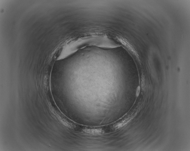 X0000082720449200702091817