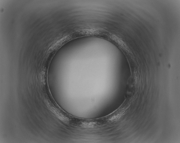 X0000082720450200702091817