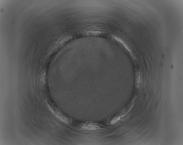 X0000082720451200702091817