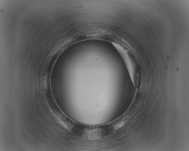 X0000082720452200702091817