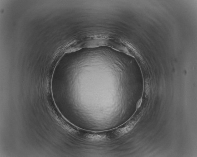 X0000082720453200702091817