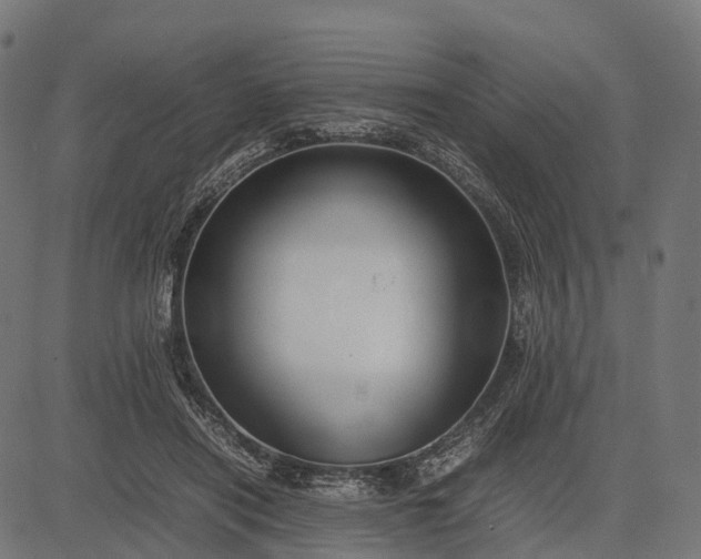 X0000082720454200702091817