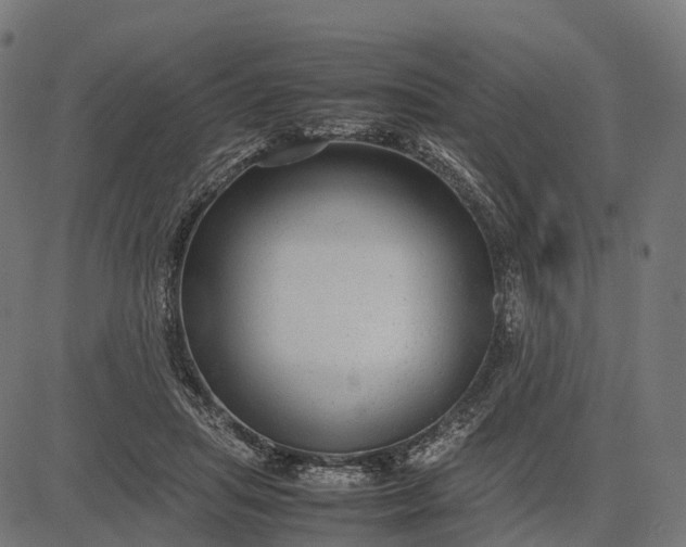 X0000082720455200702091817