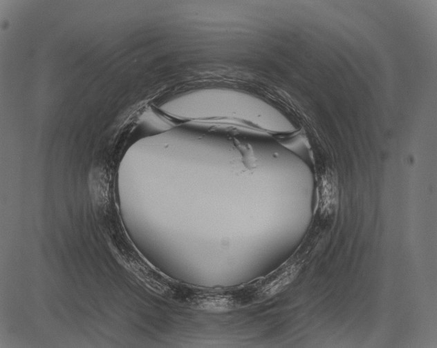 X0000082720456200702091817