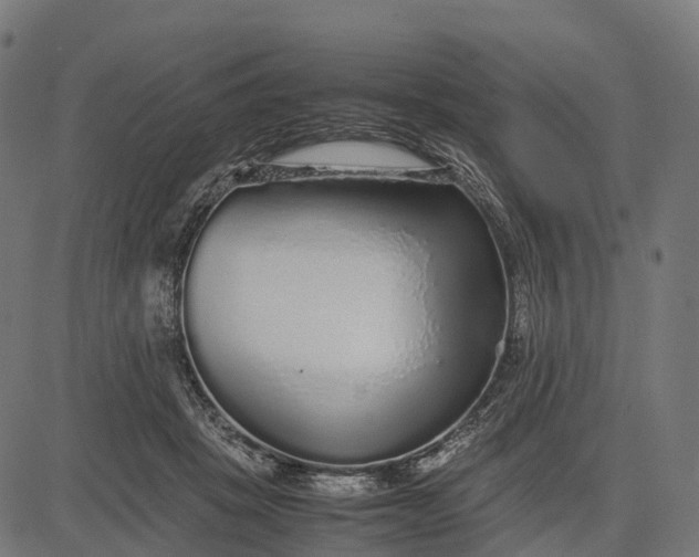 X0000082720457200702091817